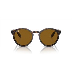 Ray-Ban 7680S 902/33 51 Kahverengi Unisex Güneş Gözlüğü 