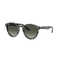 RAY-BAN 7680S LARRY 1332GL 51 Солнцезащитные очки - RAY-BAN (1)