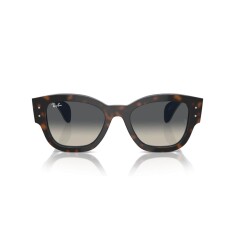 RAY-BAN 7681S 140171 52 Güneş Gözlüğü - RAY-BAN