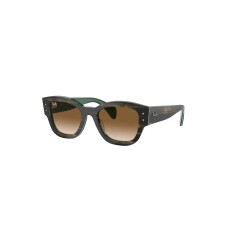 RAY-BAN 7681S 140251 52 Güneş Gözlüğü - RAY-BAN (1)