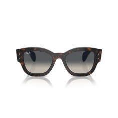 RAY-BAN 7683S 140171 52 Güneş Gözlüğü - RAY-BAN (1)