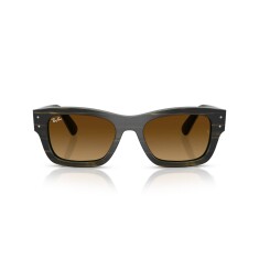RAY-BAN 7683S 140285 55 Güneş Gözlüğü - RAY-BAN (1)