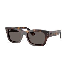 RAY-BAN 7683S 902/B1 55 Güneş Gözlüğü - RAY-BAN