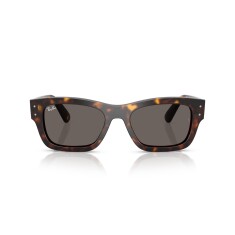 RAY-BAN 7683S 902/B1 55 Güneş Gözlüğü - RAY-BAN (1)
