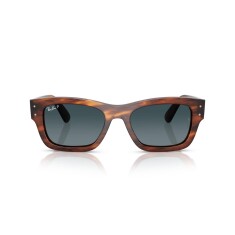 RAY-BAN 7683S 954/S3 55 Güneş Gözlüğü - RAY-BAN (1)