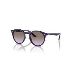 RAY-BAN 9064S 71634Q 44 Солнцезащитные очки - RAY-BAN (1)
