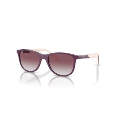 RAY-BAN 9077S 71348G 49 Солнцезащитные очки - RAY-BAN (1)