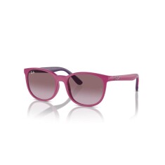 RAY-BAN 9079S 71498H 49 Солнцезащитные очки - RAY-BAN (1)
