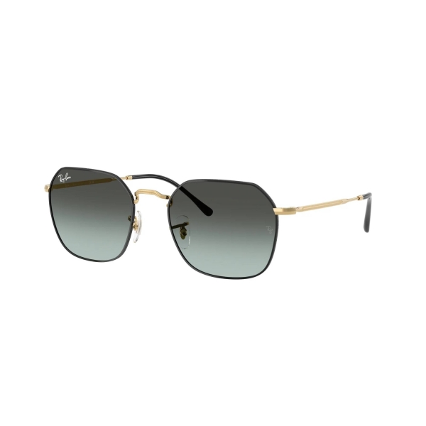 RAY-BAN Jim 3694 9271GK 55 Güneş Gözlüğü