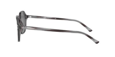 RAYBAN Unisex Füme Güneş Gözlüğü 2194 1314B1 51