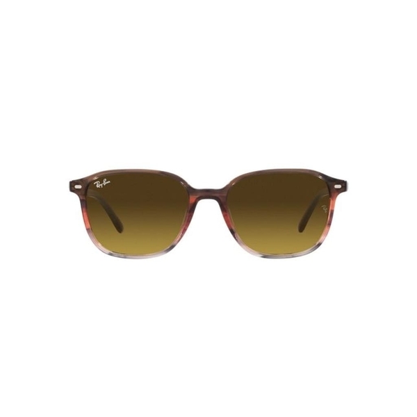 RAY-BAN Leonard 2193 138085 55 Güneş Gözlüğü