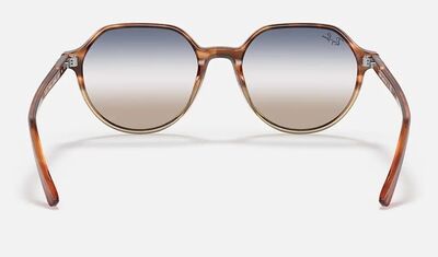 RAYBAN Unisex Kahverengi Güneş Gözlüğü 2195 1328GD 51