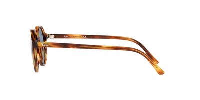 RAYBAN Unisex Kahverengi Güneş Gözlüğü 2195 954 62 51