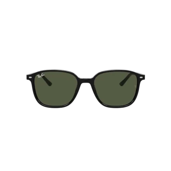 RAY-BAN Leonard 2193 901/31 53 Güneş Gözlüğü