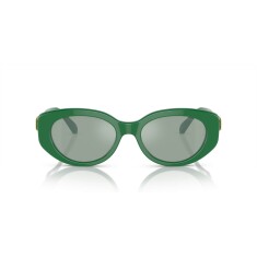 SWAROVSKİ 6002 10079C 53 Sunglasses - SWAROVSKİ