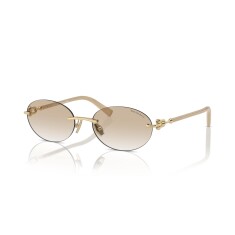 TIFFANY 3104D 617811 56 İki Renk Kadın Güneş Gözlüğü - TIFFANY (1)