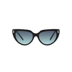 TIFFANY 4195 80019S 54 Sunglasses 