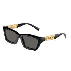 TIFFANY 4213 80153G 54 Солнцезащитные очки - TIFFANY (1)