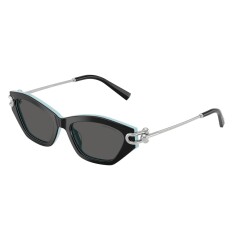 TIFFANY 4231U 8055S4 53 İki Renk Kadın Güneş Gözlüğü - TIFFANY (1)