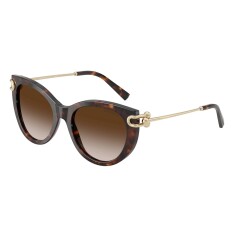 TIFFANY 4232 80153B 53 Солнцезащитные очки - TIFFANY (1)