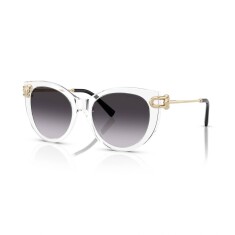 TIFFANY 4232 80473C 53 Солнцезащитные очки - TIFFANY (1)