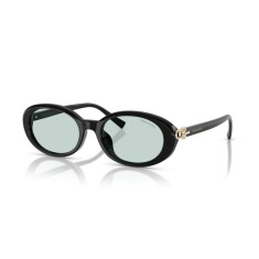 TIFFANY 4242D 8001D9 54 Солнцезащитные очки - TIFFANY